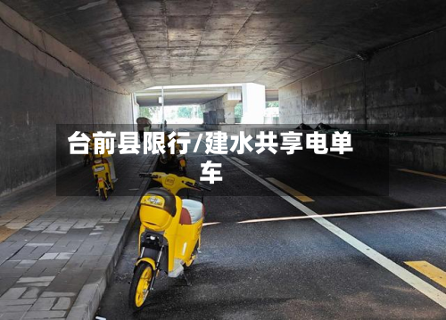 台前县限行/建水共享电单车-第3张图片