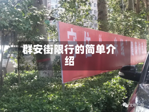 群安街限行的简单介绍-第3张图片