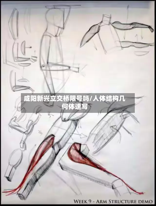 咸阳新兴立交桥限号吗/人体结构几何体速写-第3张图片