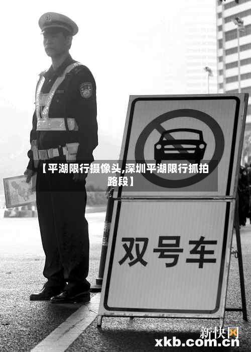 【平湖限行摄像头,深圳平湖限行抓拍路段】-第3张图片