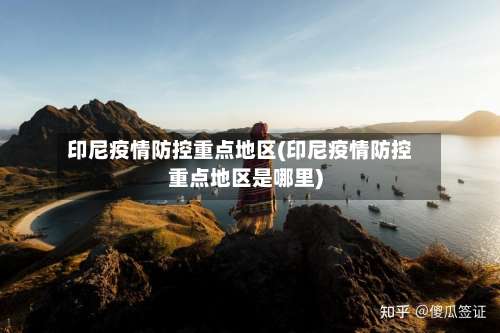 印尼疫情防控重点地区(印尼疫情防控重点地区是哪里)-第2张图片