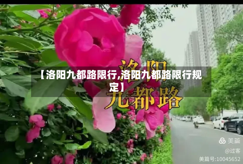 【洛阳九都路限行,洛阳九都路限行规定】