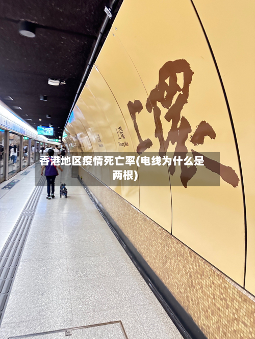 香港地区疫情死亡率(电线为什么是两根)-第3张图片