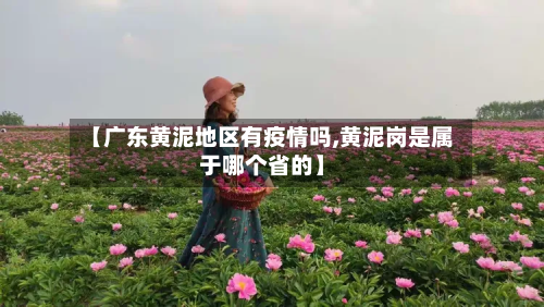 【广东黄泥地区有疫情吗,黄泥岗是属于哪个省的】