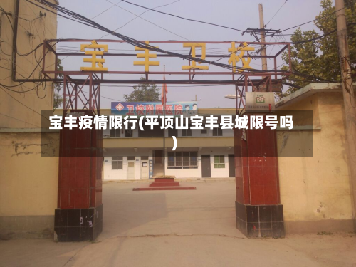 宝丰疫情限行(平顶山宝丰县城限号吗)-第2张图片