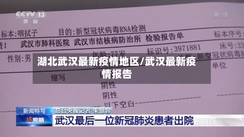 湖北武汉最新疫情地区/武汉最新疫情报告