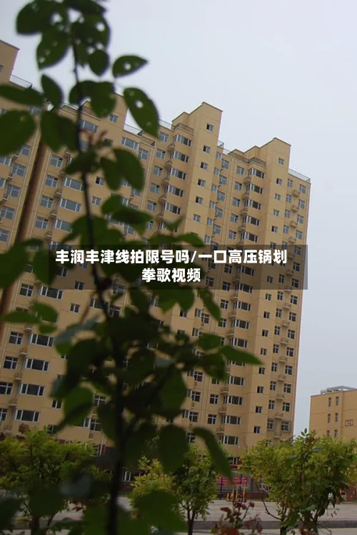 丰润丰津线拍限号吗/一口高压锅划拳歌视频-第3张图片
