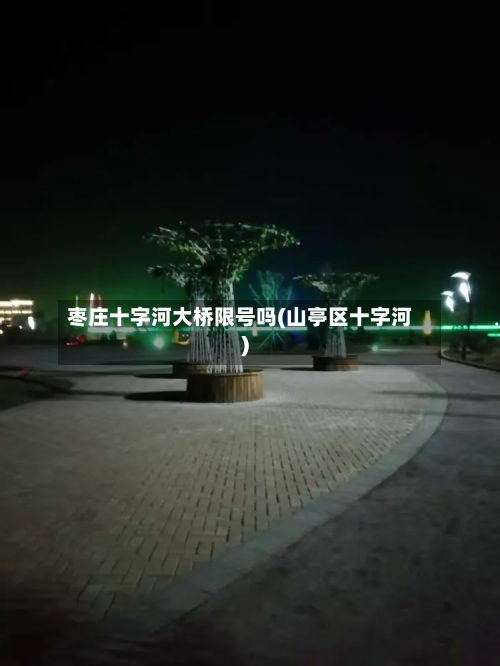 枣庄十字河大桥限号吗(山亭区十字河)