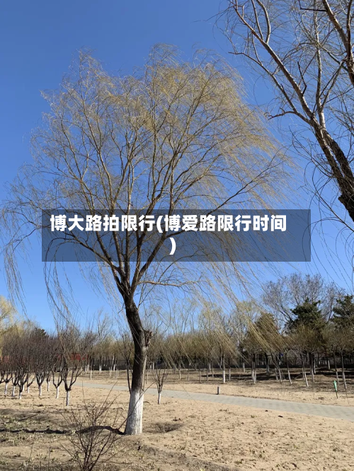 博大路拍限行(博爱路限行时间)