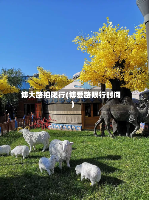 博大路拍限行(博爱路限行时间)-第2张图片