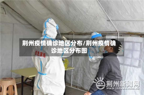 荆州疫情确诊地区分布/荆州疫情确诊地区分布图-第2张图片