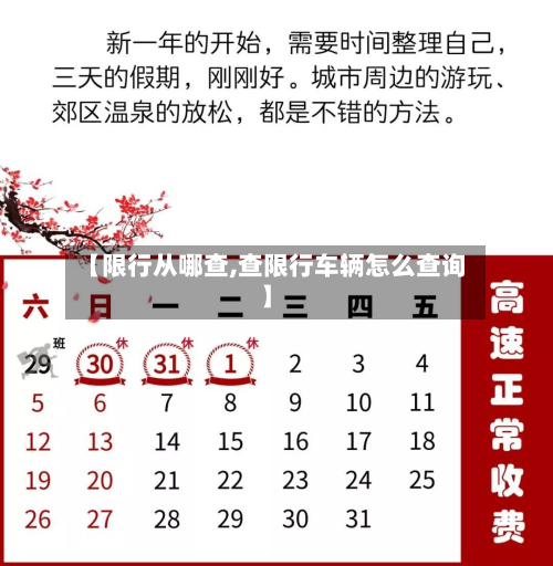 【限行从哪查,查限行车辆怎么查询】-第2张图片
