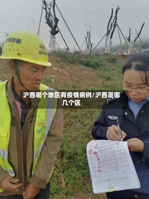 沪西哪个地区有疫情病例/沪西是哪几个区-第2张图片