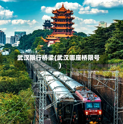 武汉限行桥梁(武汉哪座桥限号)-第2张图片