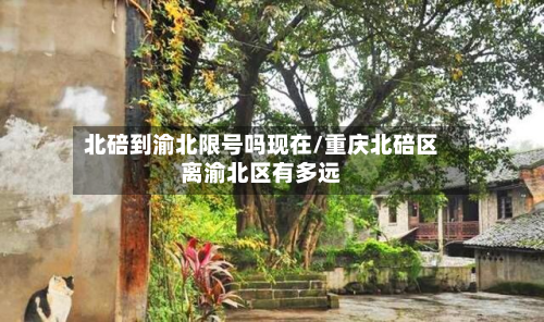 北碚到渝北限号吗现在/重庆北碚区离渝北区有多远-第2张图片