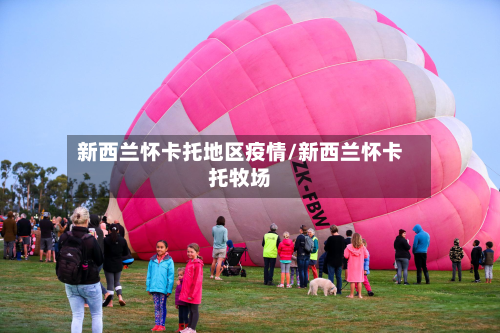 新西兰怀卡托地区疫情/新西兰怀卡托牧场