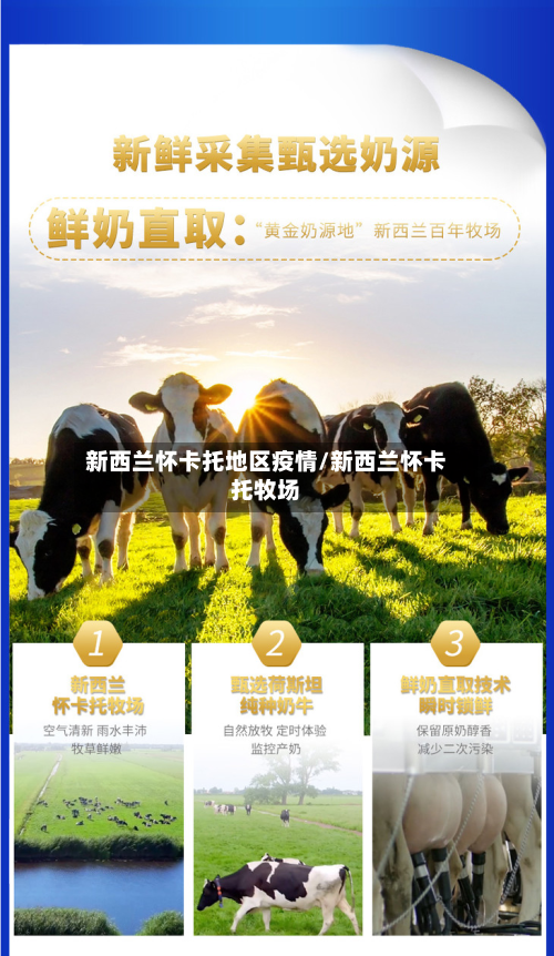 新西兰怀卡托地区疫情/新西兰怀卡托牧场-第2张图片