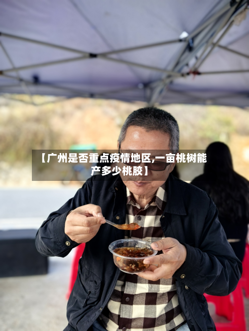 【广州是否重点疫情地区,一亩桃树能产多少桃胶】-第2张图片