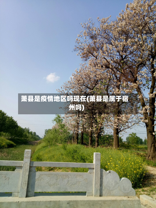 萧县是疫情地区吗现在(萧县是属于宿州吗)
