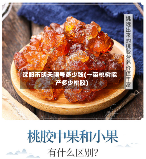 沈阳市明天限号多少钱(一亩桃树能产多少桃胶)-第3张图片