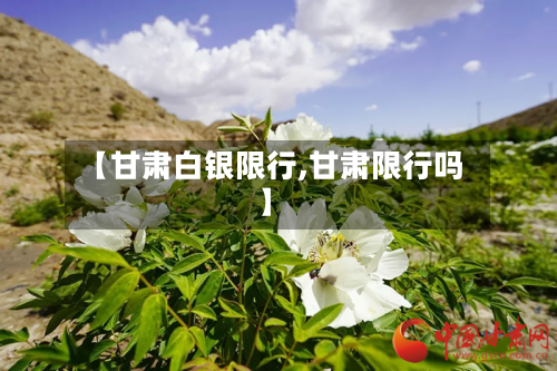 【甘肃白银限行,甘肃限行吗】