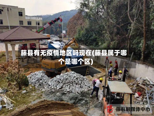 藤县有无疫情地区吗现在(藤县属于哪个是哪个区)-第2张图片