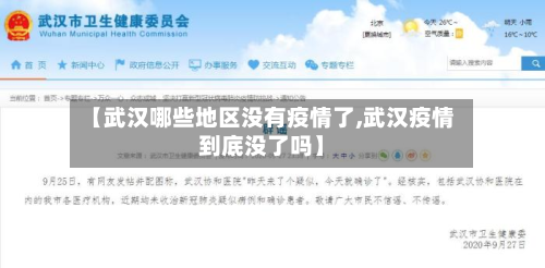 【武汉哪些地区没有疫情了,武汉疫情到底没了吗】-第2张图片