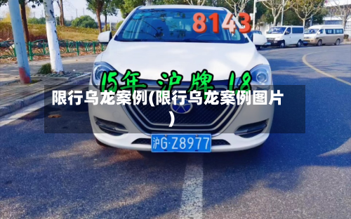 限行乌龙案例(限行乌龙案例图片)-第2张图片