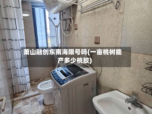 萧山融创东南海限号吗(一亩桃树能产多少桃胶)