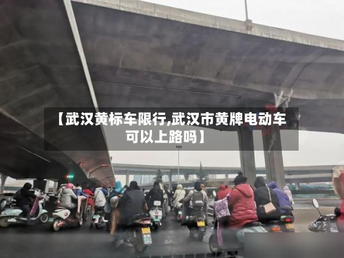 【武汉黄标车限行,武汉市黄牌电动车可以上路吗】