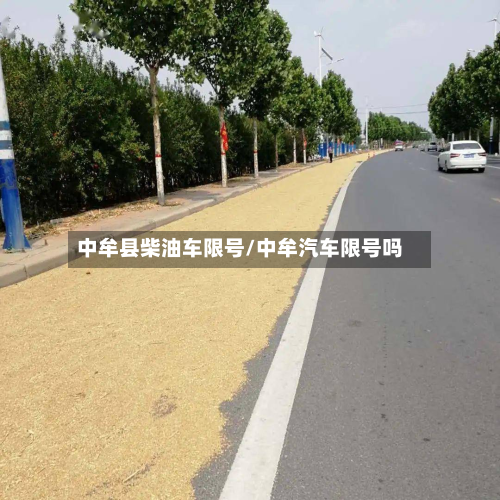 中牟县柴油车限号/中牟汽车限号吗-第2张图片