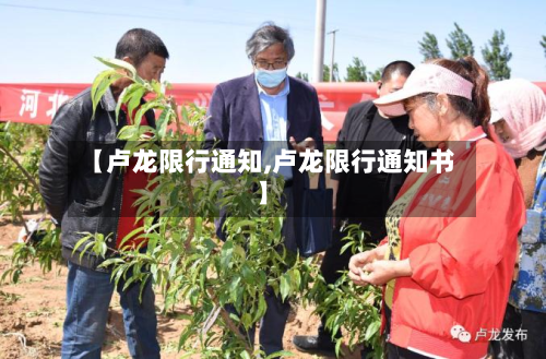 【卢龙限行通知,卢龙限行通知书】-第2张图片