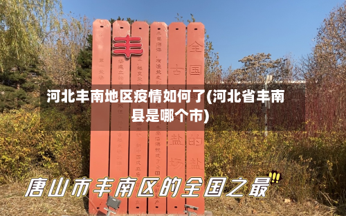 河北丰南地区疫情如何了(河北省丰南县是哪个市)-第3张图片