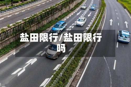 盐田限行/盐田限行吗-第3张图片