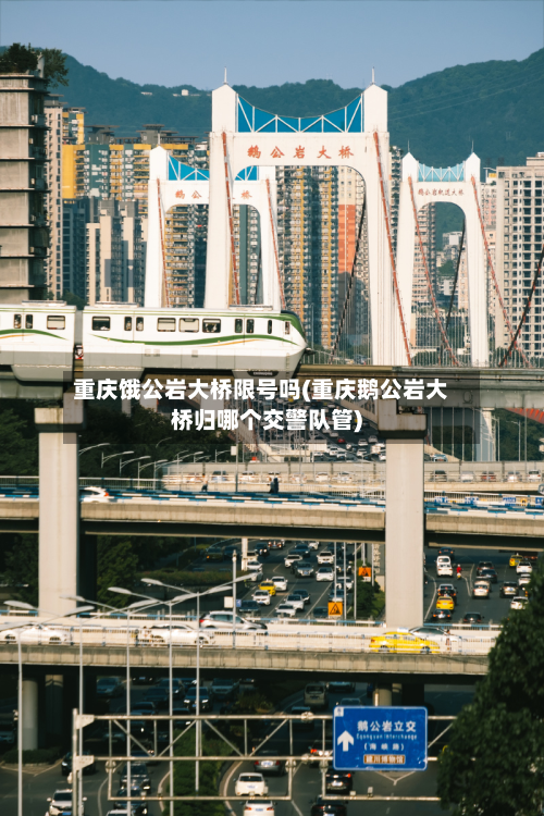重庆饿公岩大桥限号吗(重庆鹅公岩大桥归哪个交警队管)-第2张图片