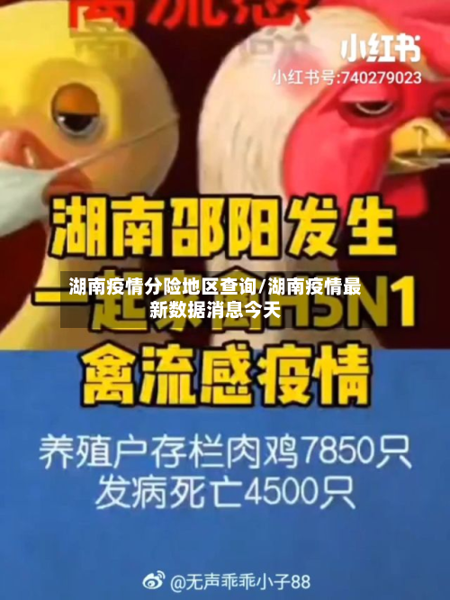 湖南疫情分险地区查询/湖南疫情最新数据消息今天
