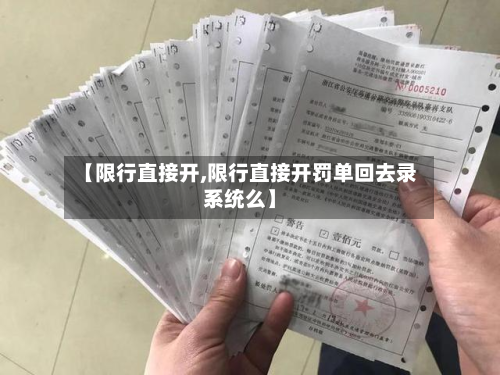 【限行直接开,限行直接开罚单回去录系统么】-第2张图片