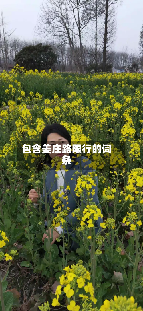 包含姜庄路限行的词条