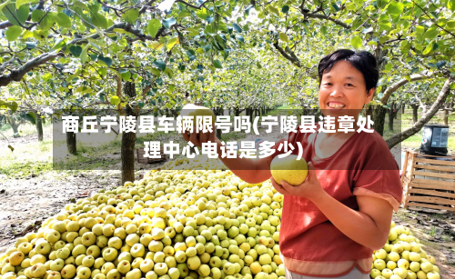 商丘宁陵县车辆限号吗(宁陵县违章处理中心电话是多少)-第2张图片