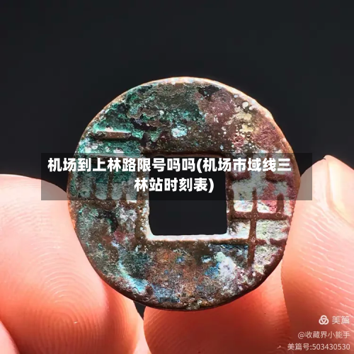 机场到上林路限号吗吗(机场市域线三林站时刻表)-第2张图片