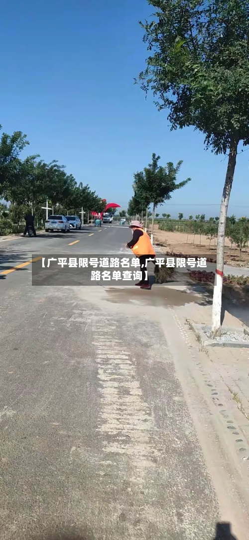 【广平县限号道路名单,广平县限号道路名单查询】-第2张图片