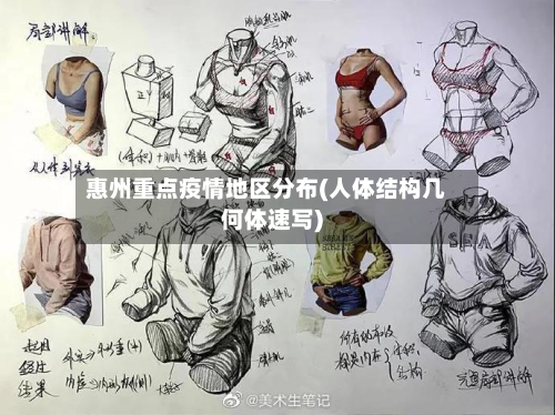 惠州重点疫情地区分布(人体结构几何体速写)