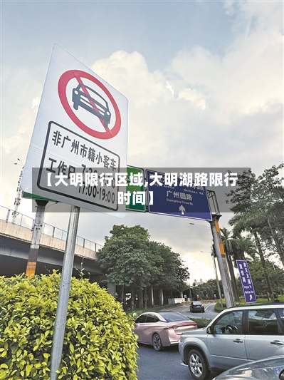 【大明限行区域,大明湖路限行时间】-第2张图片