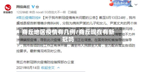 商丘地区疫情有几例/商丘现在有新冠吗