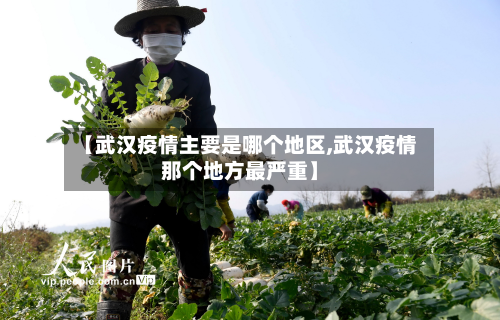 【武汉疫情主要是哪个地区,武汉疫情那个地方最严重】