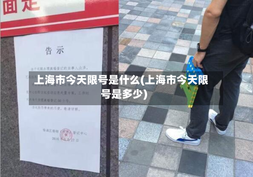 上海市今天限号是什么(上海市今天限号是多少)-第3张图片