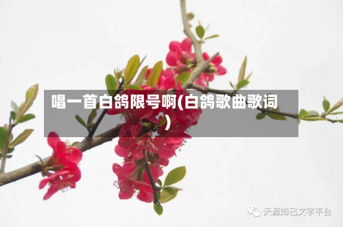 唱一首白鸽限号啊(白鸽歌曲歌词)