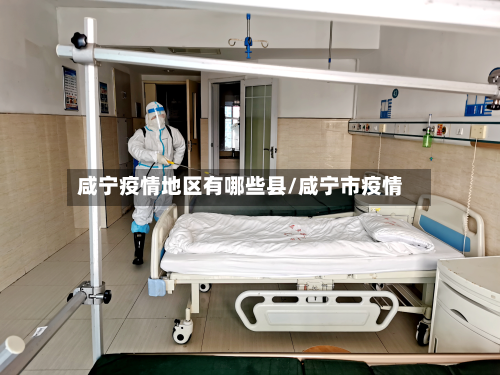 咸宁疫情地区有哪些县/咸宁市疫情