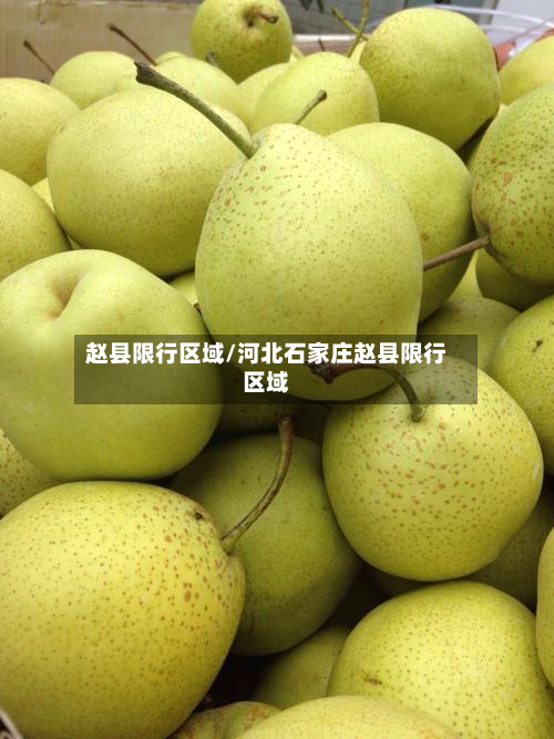 赵县限行区域/河北石家庄赵县限行区域