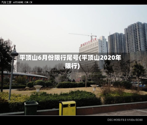 平顶山6月份限行尾号(平顶山2020年限行)-第3张图片